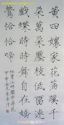 《杜甫 江畔独步寻花》楷书 此书用宋徽宗瘦筋诗,表现杜诗欢快优美的