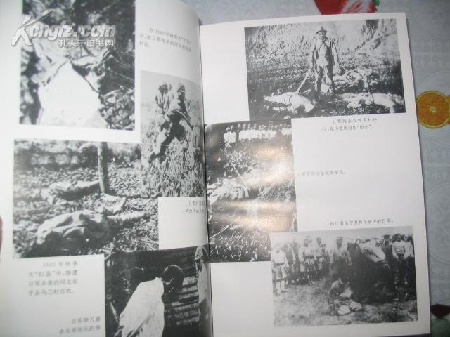 侵华日军暴行总录〔精装16开仅印5000册,书前有图片24
