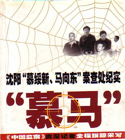 沈阳慕绥新马向东案件查处纪实