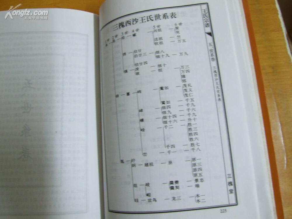 王氏宗谱 三槐堂(西沙)梁塘桥邹家弄支(无锡市)