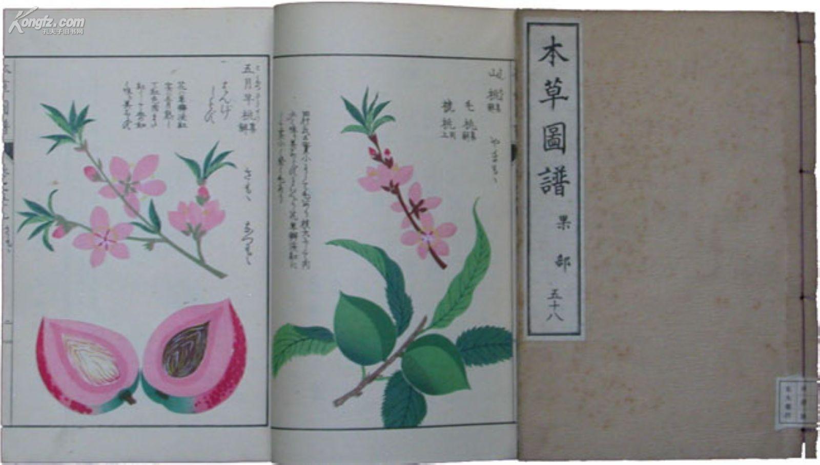 本草图谱 (彩色木板植物图鉴,95册全)