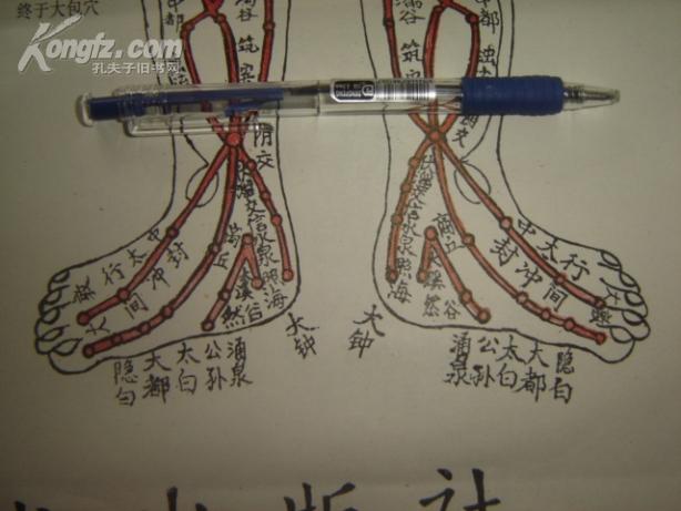 古针灸铜人明堂挂图(经络穴位说明,大2开,2张一套全) 【罕见武术中医