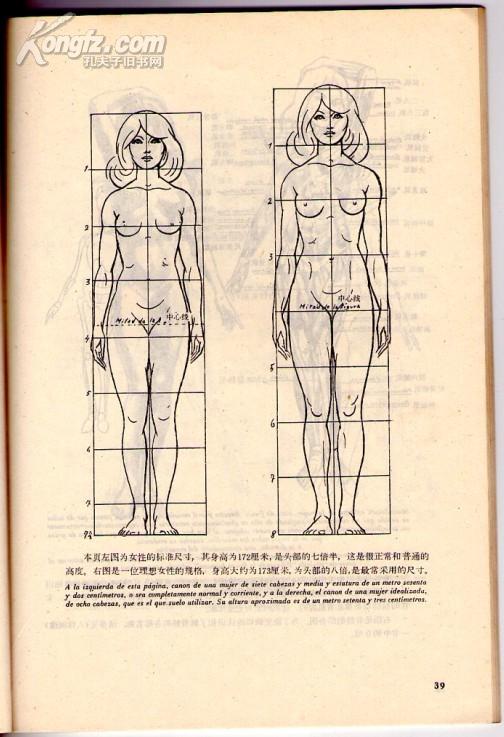 女性人体素描翻印