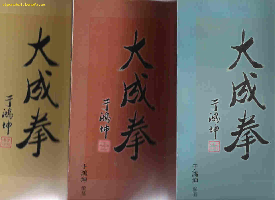 大成拳(全三卷)王选杰真传弟子于鸿坤著原价:207元【特价优惠】