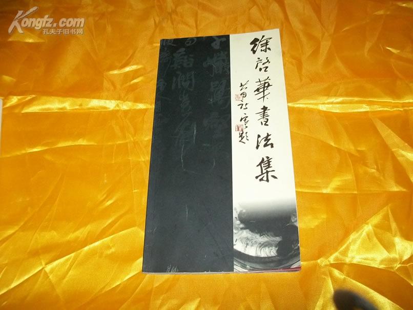 徐启华书法集