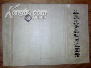 原色简谱_三原色简谱