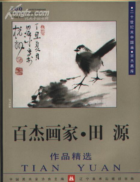 百杰画家—田源