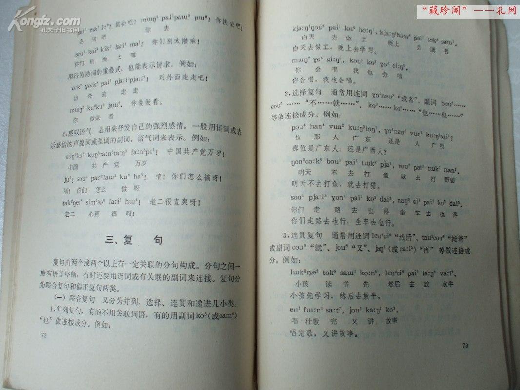 中国少数民族语言 简 志丛书―― 壮语 简 志