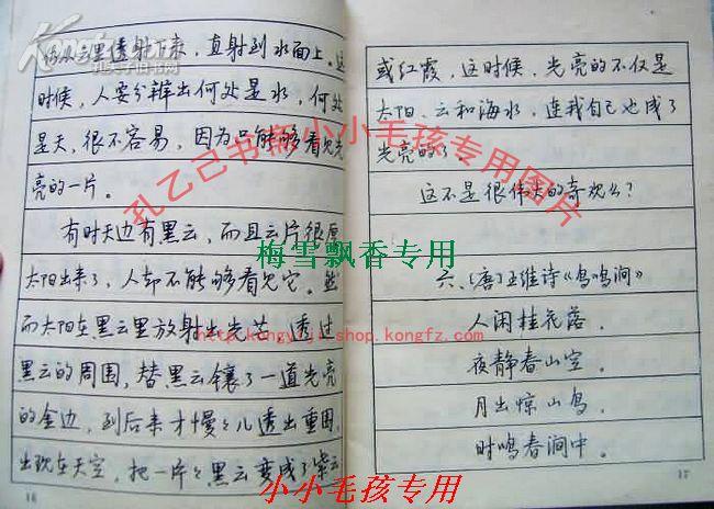 席殊 实用硬笔字字帖 90年代绝版老字帖现货 wm