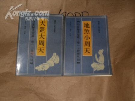 天罡大周天功家秘法宝藏卷一软性气功