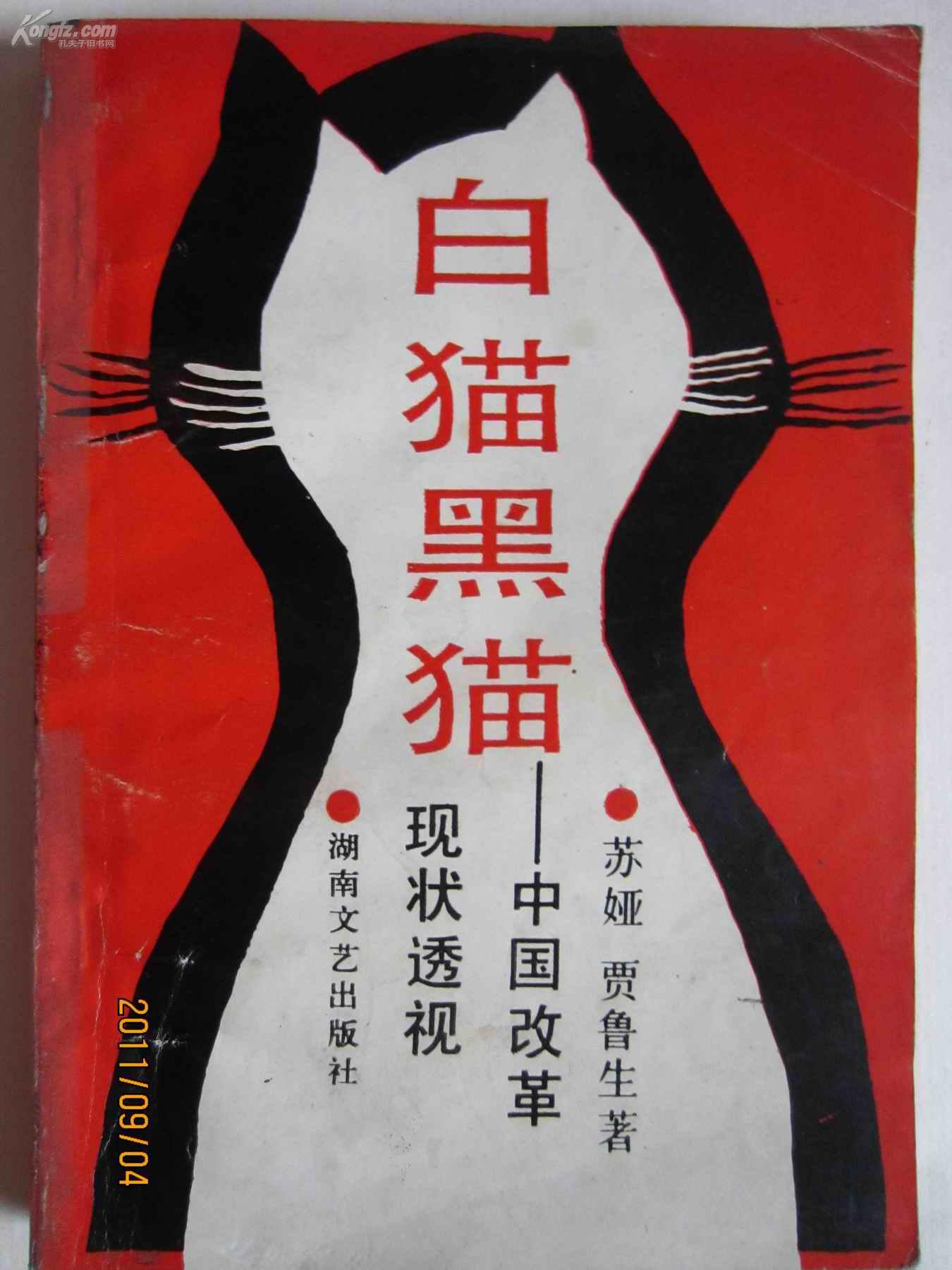白猫黑猫:中国改革现状透视