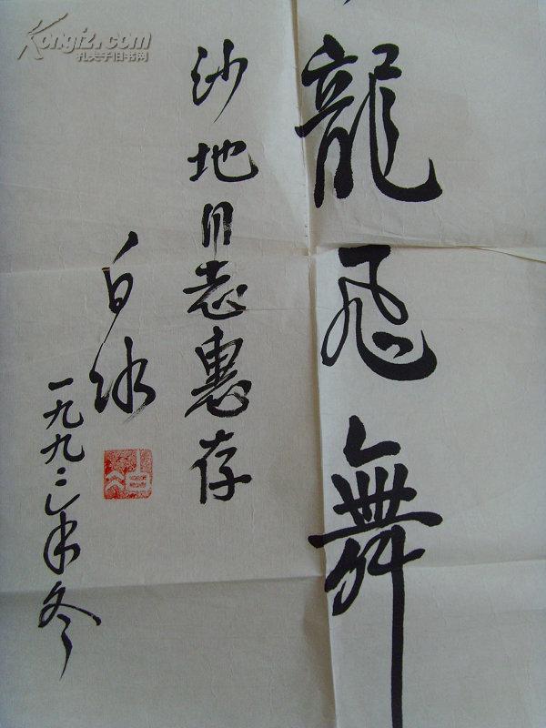 白冰:书法:云龙飞舞/沙地同志惠存(一九九二年冬)-101