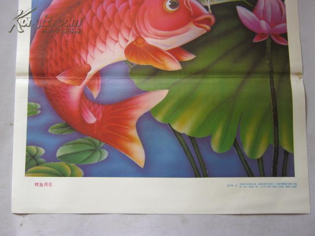 年画-鲤鱼荷花