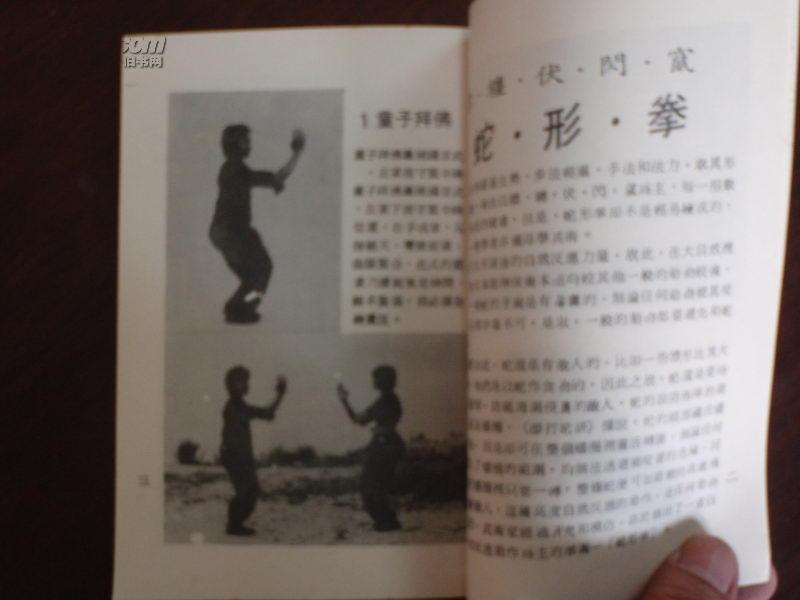 少林正宗蛇形拳