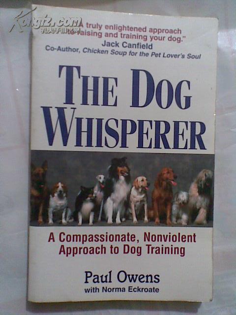 thedogwhisperer狗语