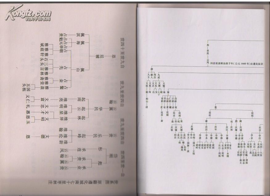 张氏宗谱(河北玉田县珠树坞支,明自山东兖州卜居河北遵化城南枣林庄