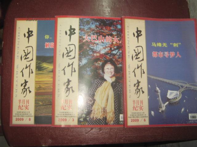 中国作家 半月刊纪实 2010年11期 总第293期
