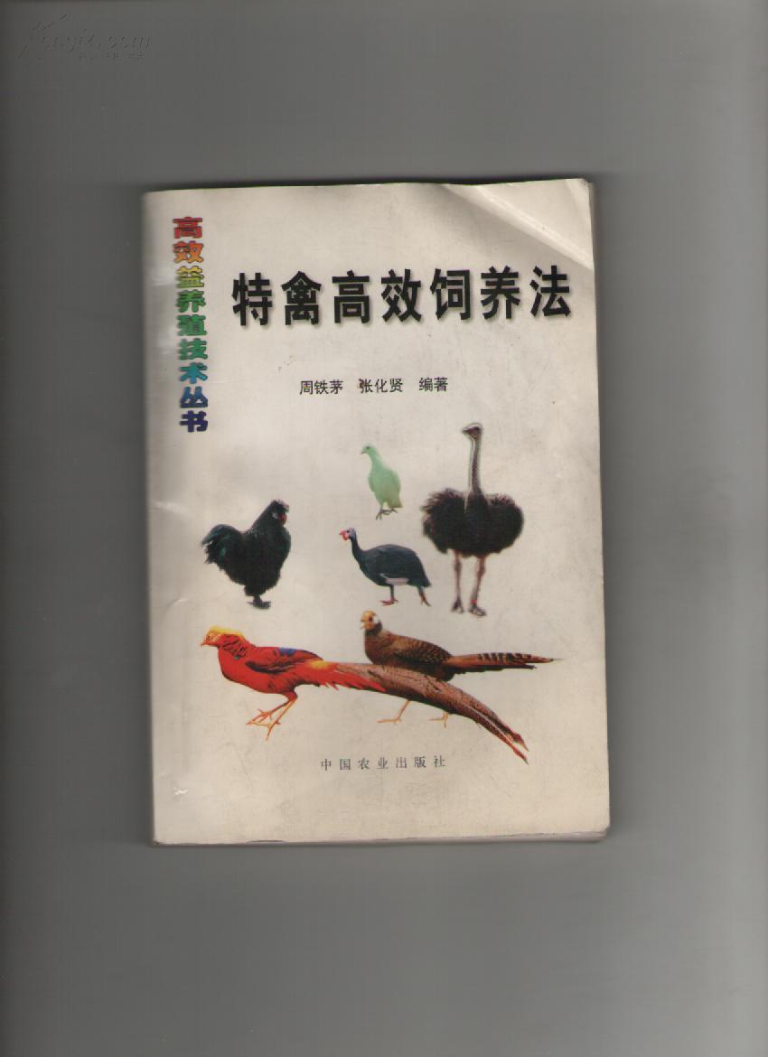 13769yhHYr0_n.jpg