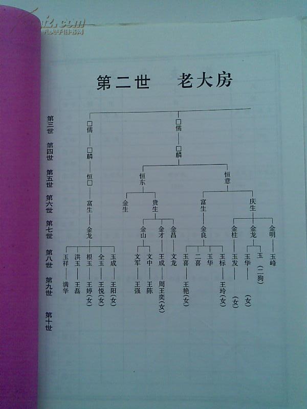 王氏支谱[三槐堂]建湖王庄支 只有世系图 16开 40页 2006年12月 复印