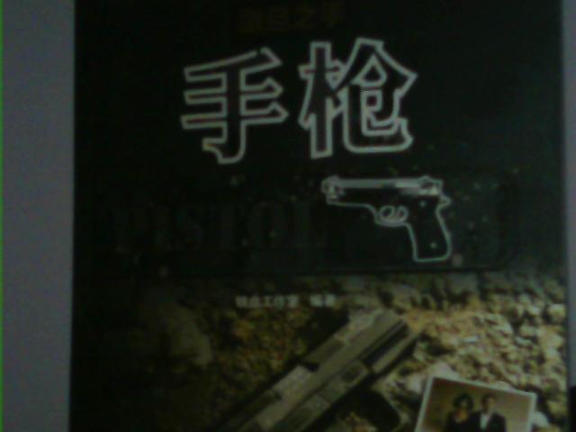 撒旦之手:手枪