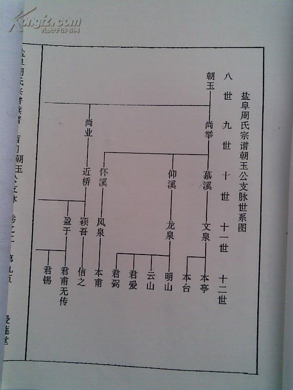 周氏宗谱[汝南郡爱莲堂]盐阜大周庄支 六本 16开 576页 1993年六修版