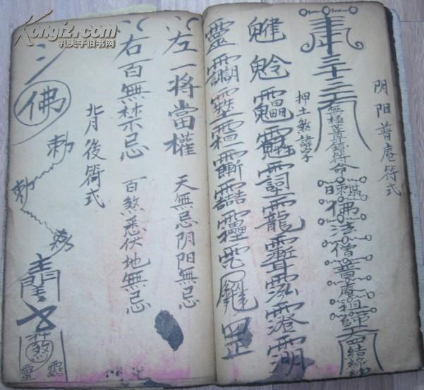 查看源网页