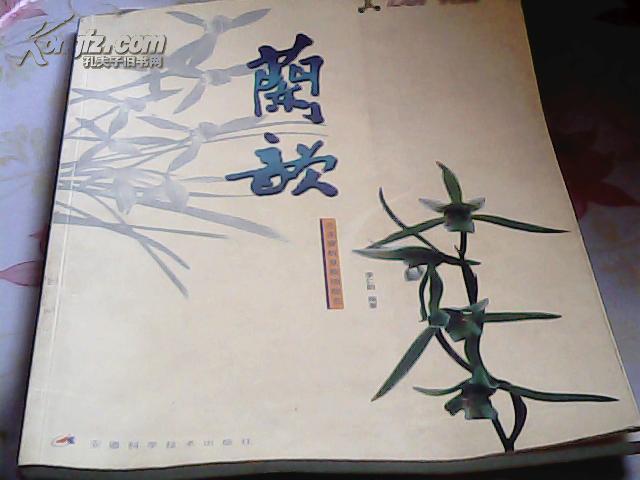 兰韵