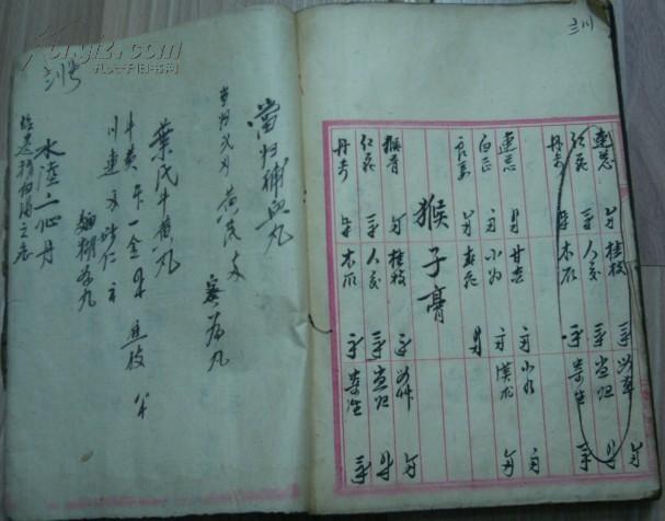 《丸散膏丹》(賛育丹,消暑丸,止嗽散,耳聋左慈丸,避瘟丹,河间舟车丸
