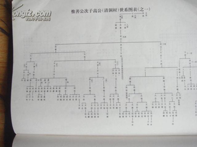新兴县冯氏族谱(详述广东冯氏世系及新兴冯氏分系的来由)