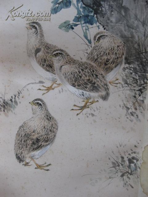 民国时期京津画派 著名的花鸟画大家 ·颜伯龙·【 花鸟精品 鹌鹑花草