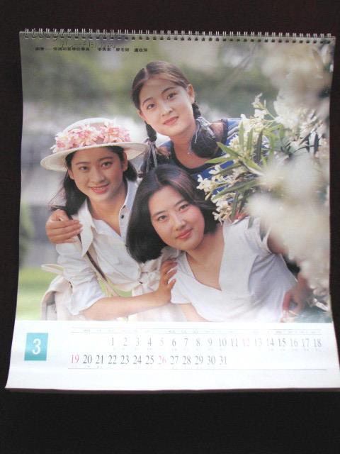 1995年(谢晋--恒通明星学校)明星挂历(全13张) 赵薇等