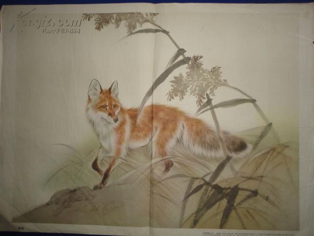 【道林纸】狐狸(全1张)