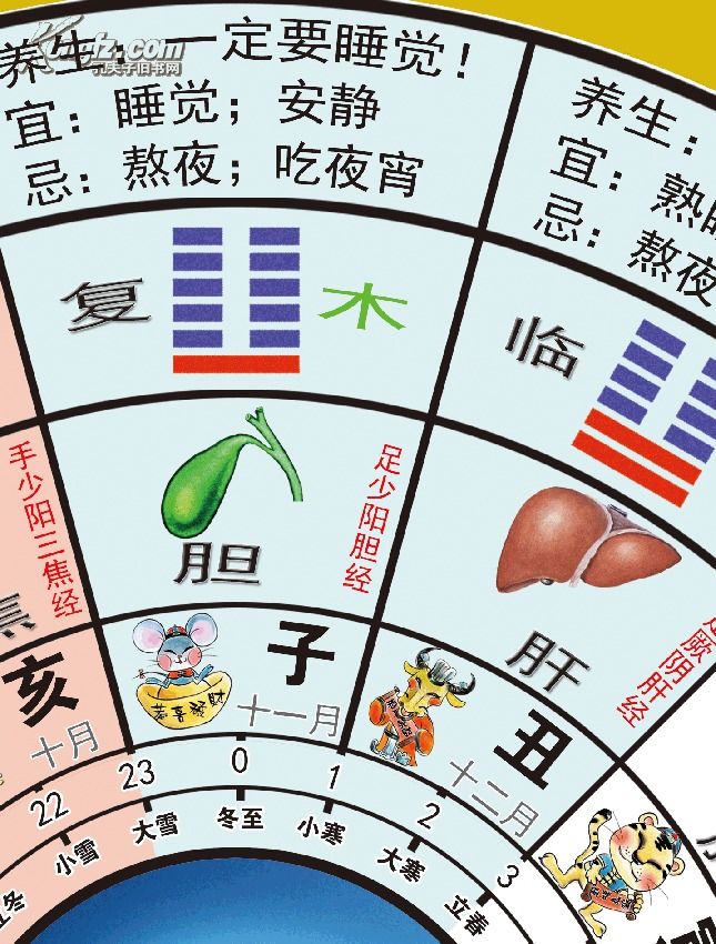 子午流注与生物钟养生图