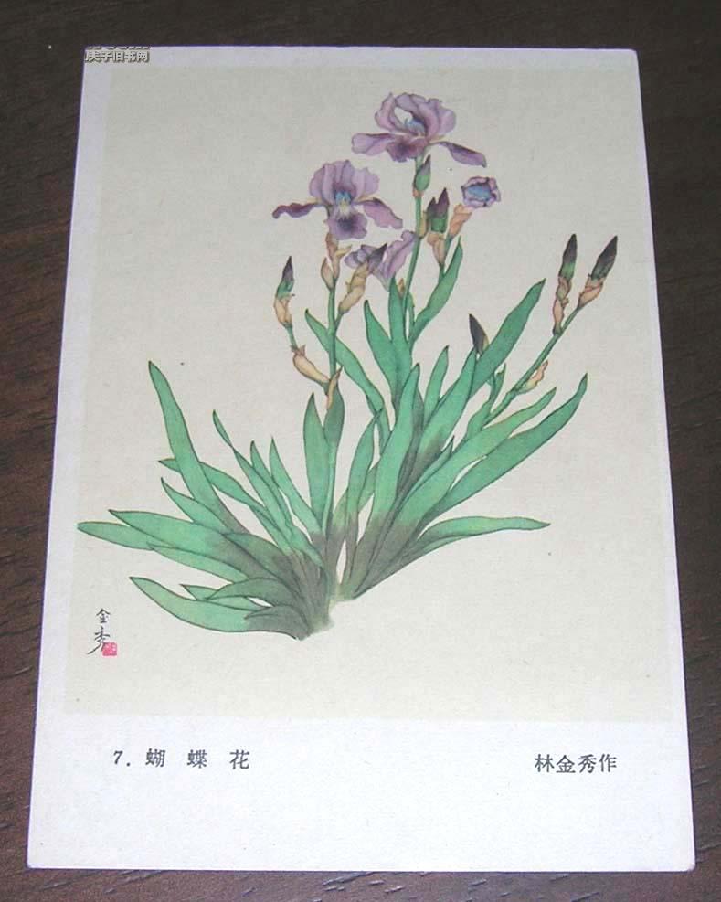 林金秀 蝴蝶花【五十年代画片】花卉国画明信片