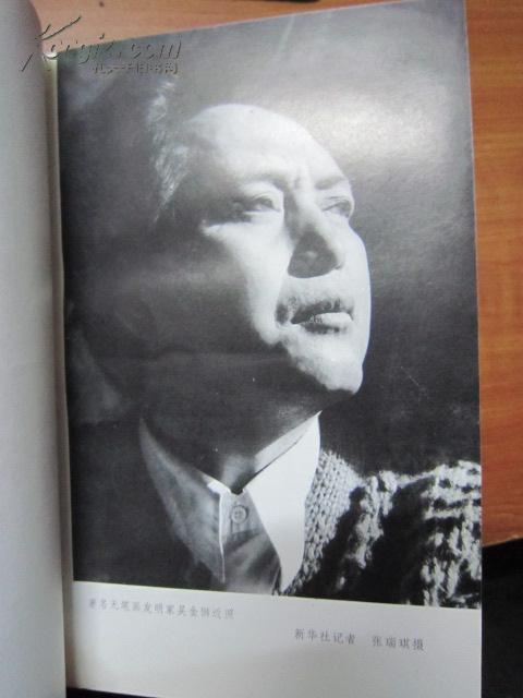 无笔画家吴金狮
