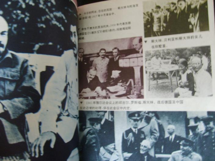 震惊世界的莫斯科三次大审判—斯大林肃反秘史.