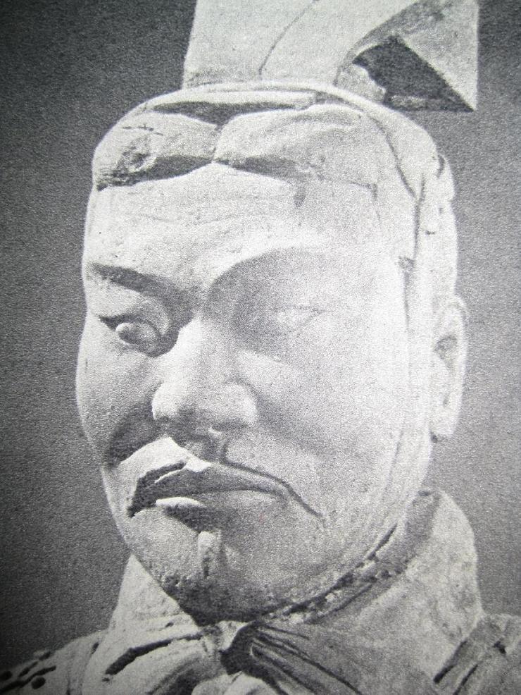 最新上架