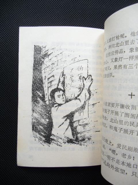 中国现代少年英雄传(李爱民)(插图本)