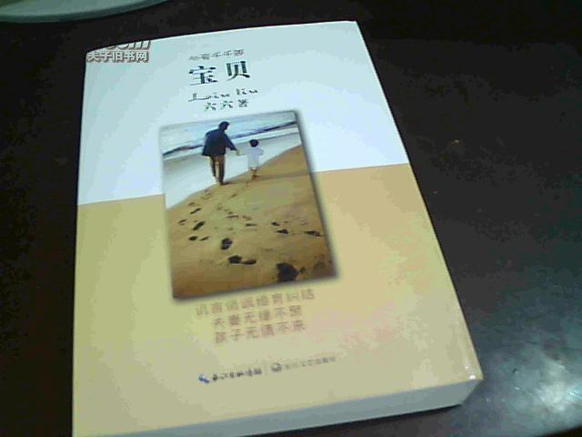 《宝贝【六六 著】