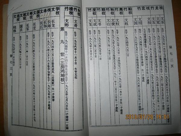 李氏家谱(陇西堂.江苏省盐城市建湖县建湖镇东北首李家墩分枝创建本.