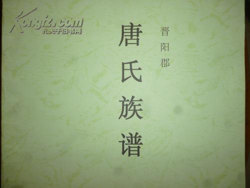 唐氏族谱 晋阳郡(全彩)