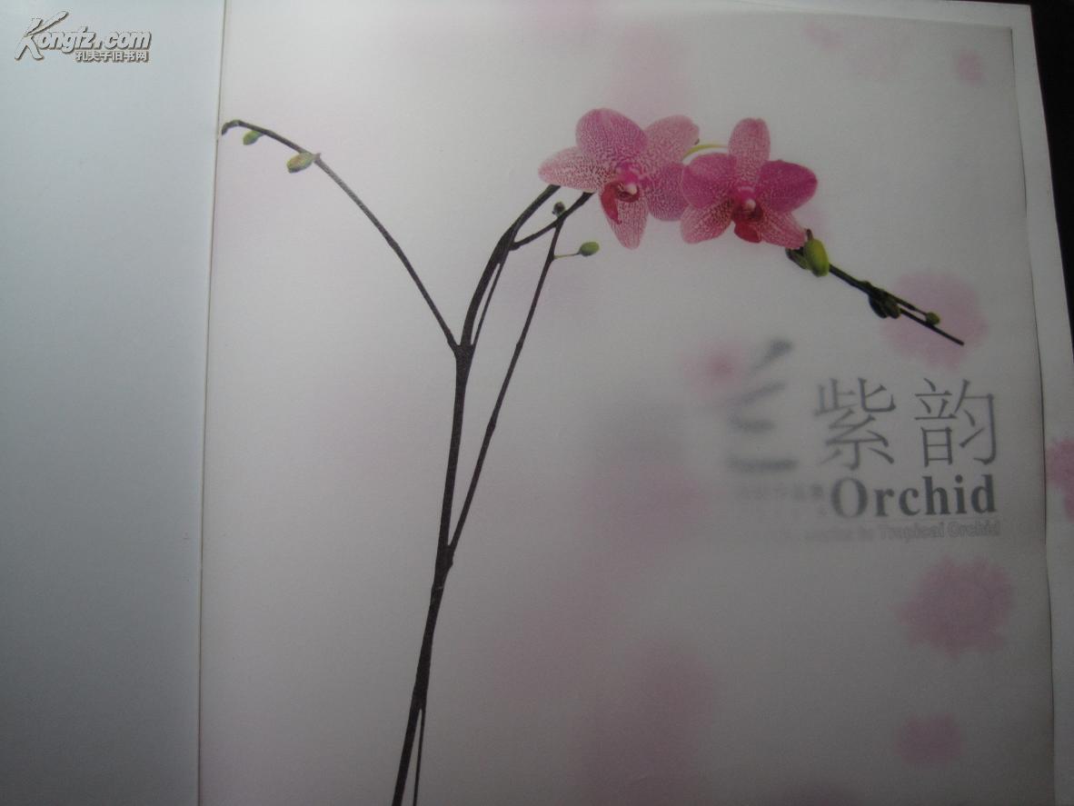 幽兰紫韵郑社奎热带兰花摄影作品集郑社奎山西省摄影家协会名誉主席