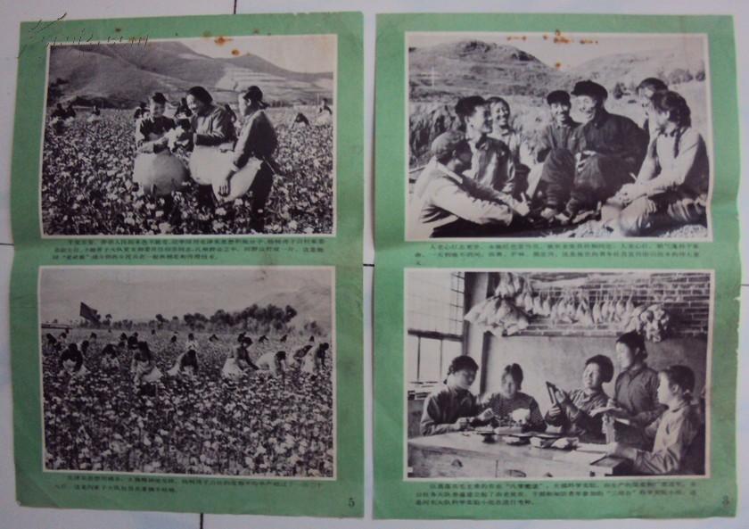 宣传图片继续革命永向前建昌县杨树湾子公社又夺粮棉高产