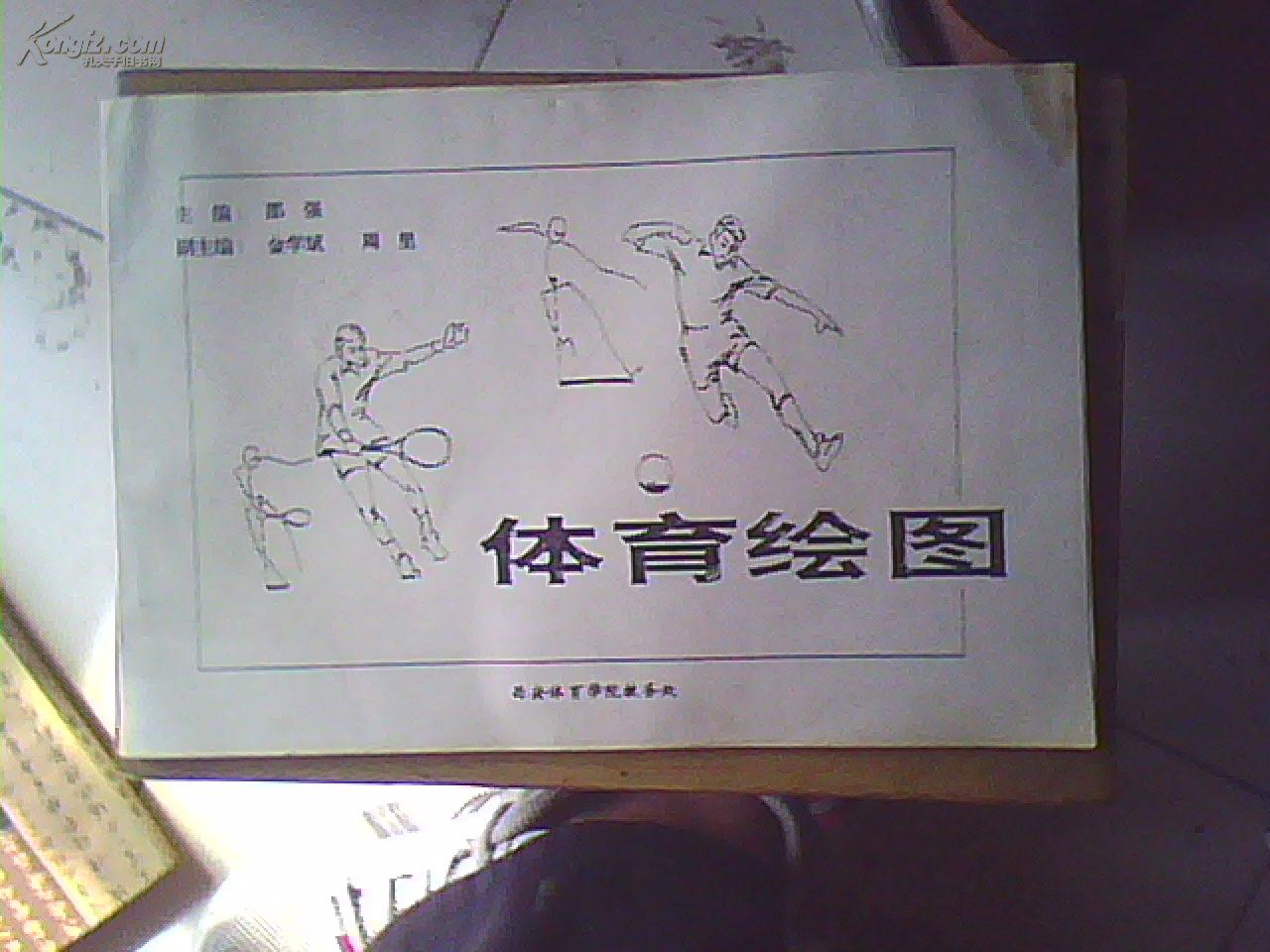 体育绘图