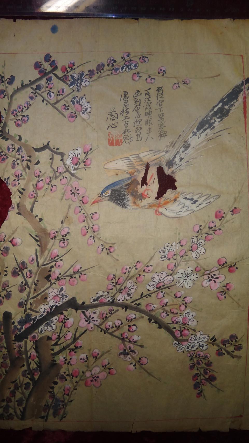 晚清民国,旧花鸟画一幅-锦鸡,包老