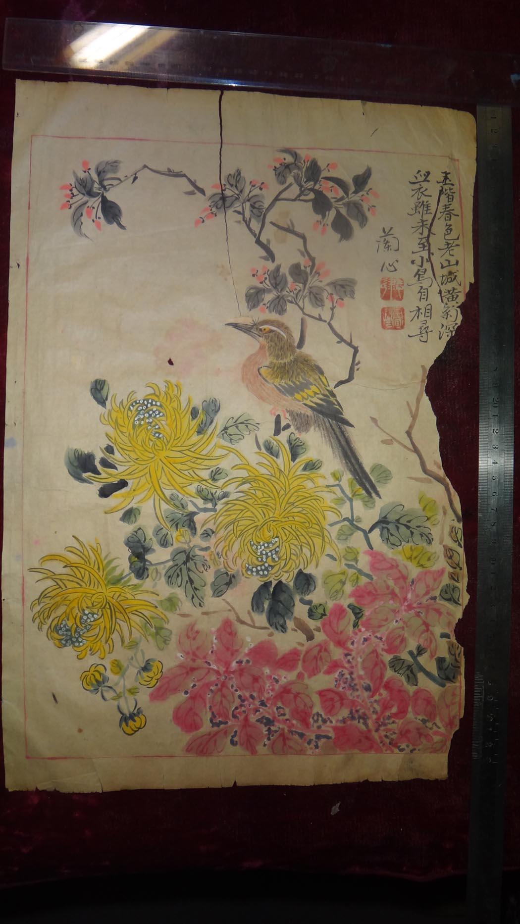 晚清民国,旧花鸟画一幅-菊鸟,包老
