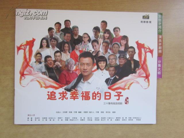 电视剧追求幸福的日子海报