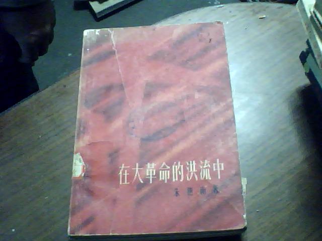 在大革命的洪流中(附彩色插图,朱保庆插图)61年初版