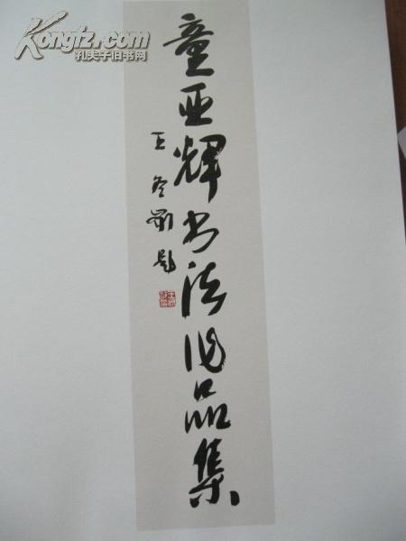 童亚辉书法作品集