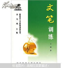 文笔训练